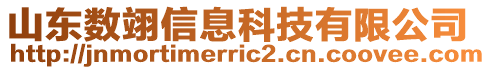 山東數翊信息科技有限公司