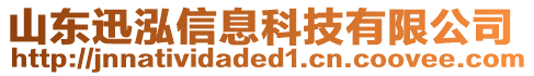 山東迅泓信息科技有限公司