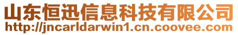 山東恒迅信息科技有限公司