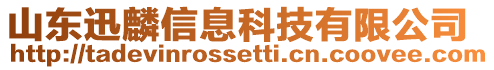 山東迅麟信息科技有限公司