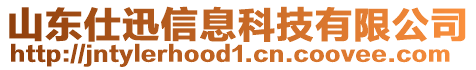 山東仕迅信息科技有限公司