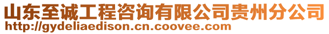 山東至誠(chéng)工程咨詢有限公司貴州分公司