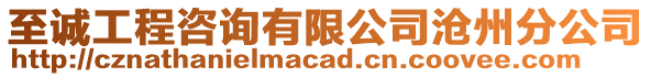 至誠(chéng)工程咨詢(xún)有限公司滄州分公司