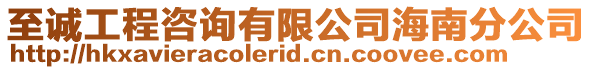 至誠工程咨詢有限公司海南分公司