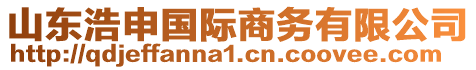 山東浩申國際商務有限公司