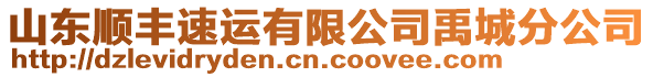 山東順豐速運有限公司禹城分公司