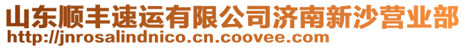 山東順豐速運有限公司濟南新沙營業(yè)部