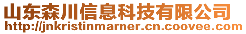 山東森川信息科技有限公司