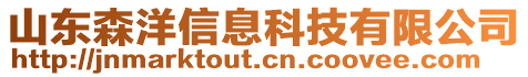 山東森洋信息科技有限公司