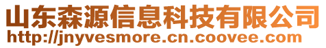 山東森源信息科技有限公司