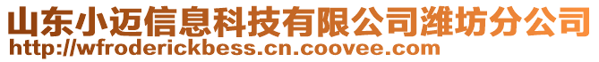 山東小邁信息科技有限公司濰坊分公司