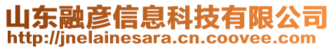 山東融彥信息科技有限公司