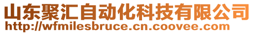 山東聚匯自動(dòng)化科技有限公司