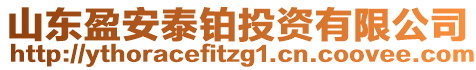 山東盈安泰鉑投資有限公司