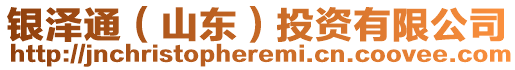 銀澤通（山東）投資有限公司