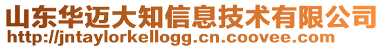 山东华迈大知信息技术有限公司