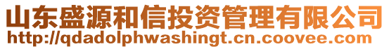 山東盛源和信投資管理有限公司