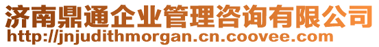 濟(jì)南鼎通企業(yè)管理咨詢有限公司