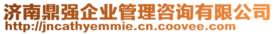 濟(jì)南鼎強(qiáng)企業(yè)管理咨詢有限公司