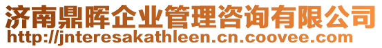 濟南鼎暉企業(yè)管理咨詢有限公司