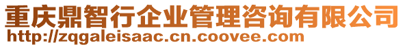 重慶鼎智行企業(yè)管理咨詢有限公司