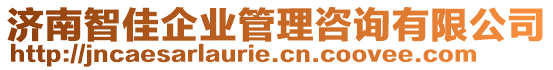 濟(jì)南智佳企業(yè)管理咨詢有限公司