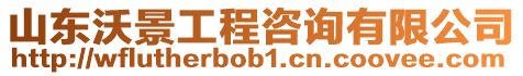 山東沃景工程咨詢有限公司