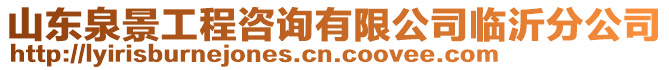 山東泉景工程咨詢有限公司臨沂分公司