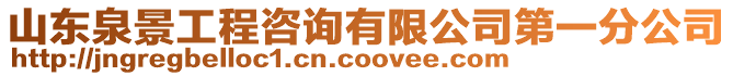 山東泉景工程咨詢有限公司第一分公司