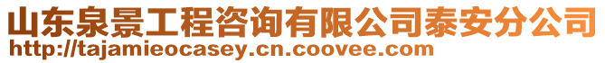 山東泉景工程咨詢有限公司泰安分公司
