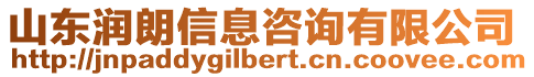 山東潤朗信息咨詢有限公司