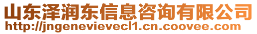 山東澤潤東信息咨詢有限公司