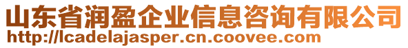 山東省潤盈企業(yè)信息咨詢有限公司