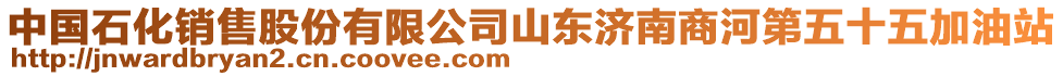 中國石化銷售股份有限公司山東濟南商河第五十五加油站