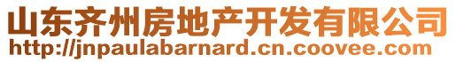 山東齊州房地產(chǎn)開發(fā)有限公司