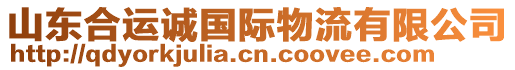 山東合運(yùn)誠(chéng)國(guó)際物流有限公司