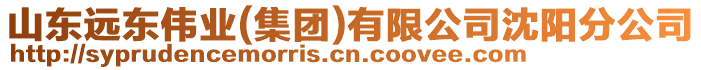 山東遠東偉業(yè)(集團)有限公司沈陽分公司