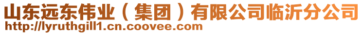 山東遠東偉業(yè)（集團）有限公司臨沂分公司