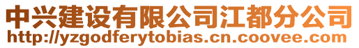 中興建設(shè)有限公司江都分公司
