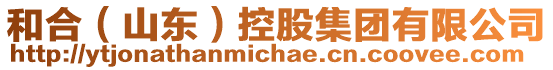 和合（山東）控股集團有限公司
