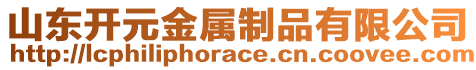 山東開元金屬制品有限公司