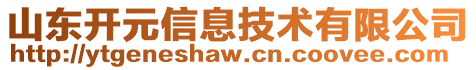 山東開元信息技術(shù)有限公司