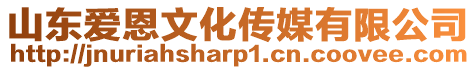 山東愛恩文化傳媒有限公司