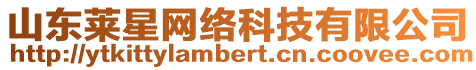 山東萊星網絡科技有限公司