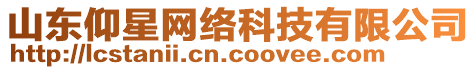 山東仰星網絡科技有限公司