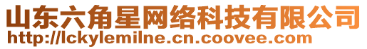 山東六角星網(wǎng)絡(luò)科技有限公司