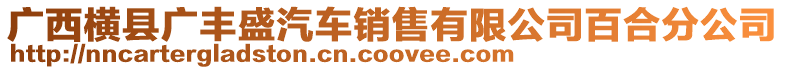 廣西橫縣廣豐盛汽車銷售有限公司百合分公司