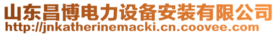 山東昌博電力設備安裝有限公司