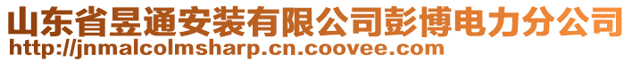 山東省昱通安裝有限公司彭博電力分公司