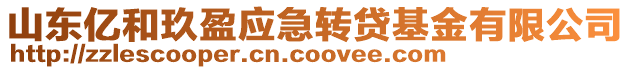 山东亿和玖盈应急转贷基金有限公司